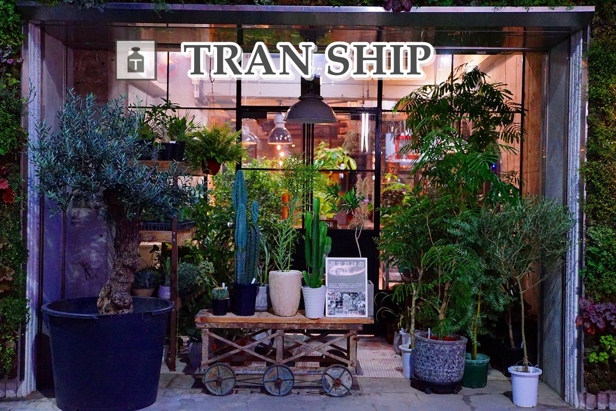 TRANSHIP(トランシップ)